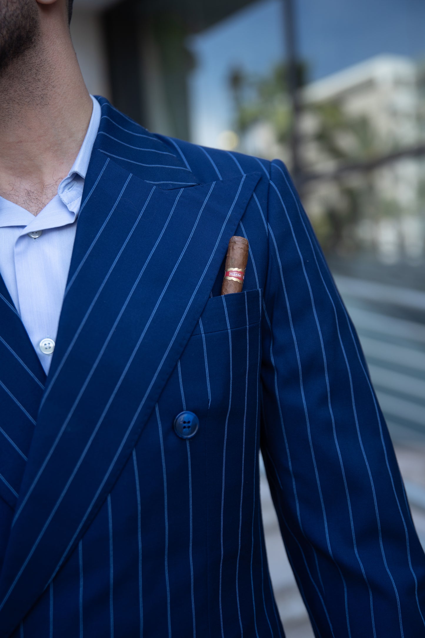 Imola striped blazer